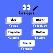 Pin De Vanessa Martin En Quiero Aprender Adverbios En Ingles Vocabulario En Ingles Vocabulario Ingles Espanol