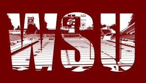 Wsu Hoodie Version 2 Washington State Cougars Wsu Washington State Football