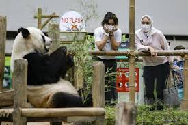 Namun, saban hari makin berkurangan pengunjung yang. Zoo Negara Dibuka Metrotv