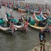 Sebagai negara kepulauan terbesar di dunia, indonesia memiliki potensi besar menjadi poros maritim dunia. Https Encrypted Tbn0 Gstatic Com Images Q Tbn And9gcq2gm5fphaino3noqctkwaox9t7em738g2n 7x7qvyimbrsgq Z Usqp Cau