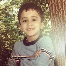 MEET THE BOARD (part2) Hi! My name is Alina Khalid, and I am a junior  majoring in Neuroscience. I'm the Volunteer Chair of APMS. In the near  future, I hope to become