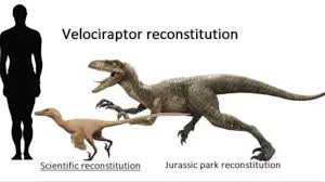 Image result for velociraptor