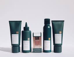 Image result for Maesa