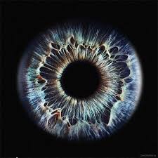 Love Is Way Home Augen Fotografie Augen Malen Augen Zeichnungen