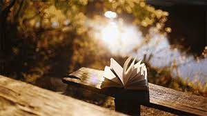Earthsong Book Gif Cinemagraph Gif Cinemagraph