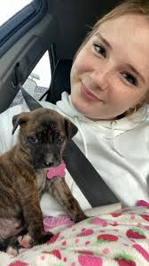 Looking for siblings of adopted puppy in London, KY?