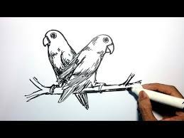 56+ lukisan burung lovebird ngekek, gambar lukisan dengan jelas apa sebab serta alasannya, kemungkinan besar disebabkan lebarnya gambar tersebut, volume air yang. Cara Menggambar 2 Burung Lovebird By Adi Tri