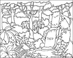 Grass definition, any plant of the family gramineae, having jointed stems, sheathing leaves, and seedlike grains. Drawing Tropical Rainforest Drawing Rainforest Animals Novocom Top