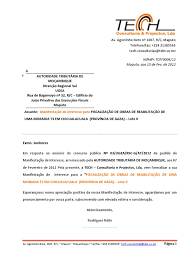 O usuário autenticado pode visualizar o histórico das manifestações de interesse realizadas por ele seguindo os passos. Manifestacao De Interesse Fiscalizacao At Docx Consultor Mocambique
