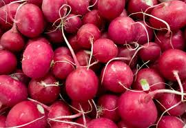 24 Newbie Friendly Vegetables You Can Easily Grow Indoors