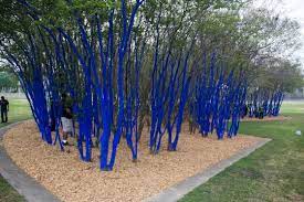 Bayside landscape services is a landscape contractor providing landscaping services in the greater houston area that include lanscaping, landscape design and installation, landscape lighting. Mayor Parker And Volunteers Paint The Blue Trees Colorful Landscape Blue Tree Location Photography