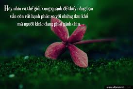 Káº¿t quáº£ hÃ¬nh áº£nh cho hinh anh ban rat hanh phuc giu vuon hoa thien nhien