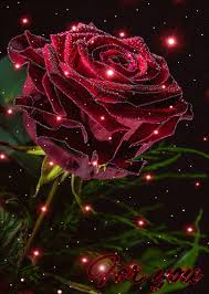 Https Encrypted Tbn0 Gstatic Com Images Q Tbn And9gcskcrvbxqivhtb Fri9ik38uezxj7e52sksoq Usqp Cau