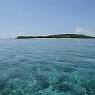 Menjangan Island
