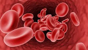 Beta Thalassemia | Johns Hopkins Medicine