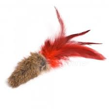 You can contact us on 1300 222 824. Da Bird Da Fur Thing The Best Cat Toys