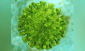 * na het openen van de bladerbare pdf kan het document eventueel gedownload (i.v.m. Informationen Zum Coronavirus Fur Schulverantwortliche Und Eltern Stadt Zurich