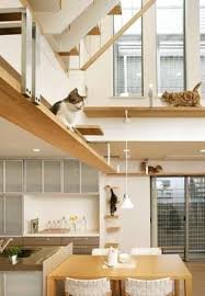 Pin On Cats