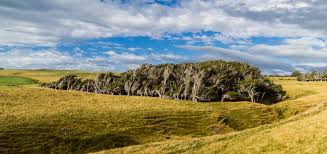 Point slope form calculator, formula, work with steps, step by step calculation, real world and practice problems to learn how to find point slope form of a line in geometry. Windswept Trees In The Brute Slope Point New Zealand Places To See In Your Lifetime