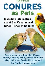What Species Of Conures Can Breed Together To Produce Hybrid Offspring? -  Quora