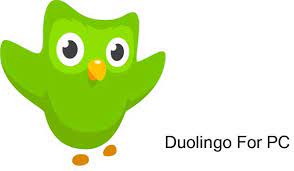 This is a language learning app. Free Download Duolingo For Pc Windows 10 8 1 8 7 Xp Vista