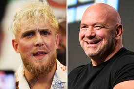 Dave Carlisle, Author at BenchWarmers