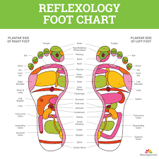 Foot Reflexology Chart Massageaholic