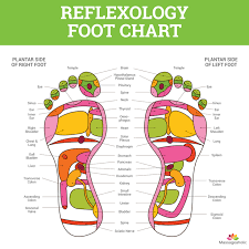 foot reflexology chart massageaholic