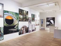 Zu jeder ausstellung erscheint ein katalog im. In Den Falten Das Eigentliche Die Fotokunstlerin Johanna Diehl Stellt Im Haus Am Waldsee Aus Zehlendorf