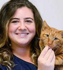 Our Animal Hospital Staff