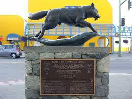 File Iditarod Balto Anchorage Jpg Dog Sledding Iditarod Alaskan Dog