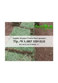 Untuk mengetahui lebih lanjutnya anda bisa menghubungi di wa 081259607884 | call. Harga Rumput Peking Per Meter Call 0857 3259 0133 Andika Garden By Daftar Harga Rumput Jepang Issuu