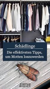 Zum einen die motten die nur an lebensmitteln interesse haben und zum anderen sind es die kleidermotten, die beide motten sind von der größe eher kleine wesen. Motten Bekampfen So Werden Sie Motten Wieder Los Kleidermotten Schadlinge Im Haus Mehlmotten
