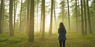 Sex-Video mit 12-Jähriger im Wald gedreht - oe24.at