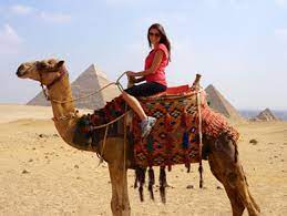 We didn't think about her two days ago. Camel Horse Riding Egypt Best Trip