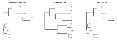Image result for Monanthotaxis trichantha