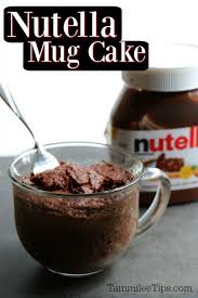 Simple easy mug cake recipes! Super Easy To Make Nutella Mug Cake Recipe