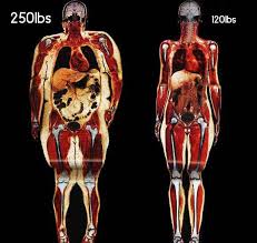 What Five Pounds Of Fat Looks Like