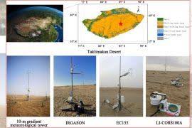 Image result for Ampelocissus multistriata