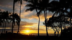 Image result for images blue hawaii silhouette