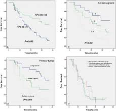 Dec 16, 2014 · affected individuals can experience severe mucocutaneous bleeding, bleeding into the muscles and joints, joint damage, and the development of multiple hematomas. Safety Of Percutaneous Vertebroplasty For The Treatment Of Metastatic Spinal Tumors In Patients With Posterior Wall Defects Springerlink
