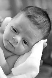 Piper Williamson Obituary (2014)