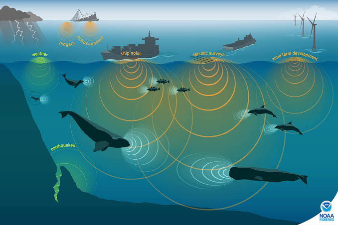 🌊🔊 Descubre la Acústica Oceánica 🔊🌊 ¿Sabías que el sonido viaja casi 5 veces más rápido en el agua que en el aire? Su velocidad cambia con la temperatura: se mueve más