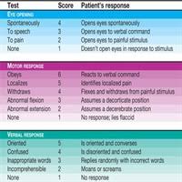 Simplifying Neurologic Assessment Nursing Made Incredibly Easy