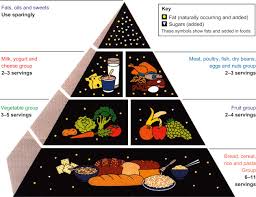 Food Guide Pyramid An Overview Sciencedirect Topics