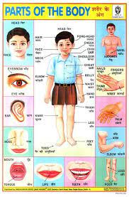 Human body part name is very important for a kid that means kids need to remember the name by picture and spelling with hindi name. Kangan Arora Design Blog Indian Book Depot Map House Hindi Language Learning School Posters Learn Hindi