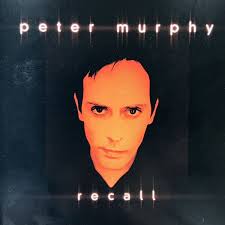 Las mejores ofertas en CD de música pop Peter Murphy