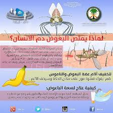 لماذا يمتص البعوض دم الانسان Health And Nutrition Health Health And Beauty
