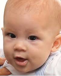 Pin On The Royal Family