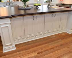 magnificent main line kitchen